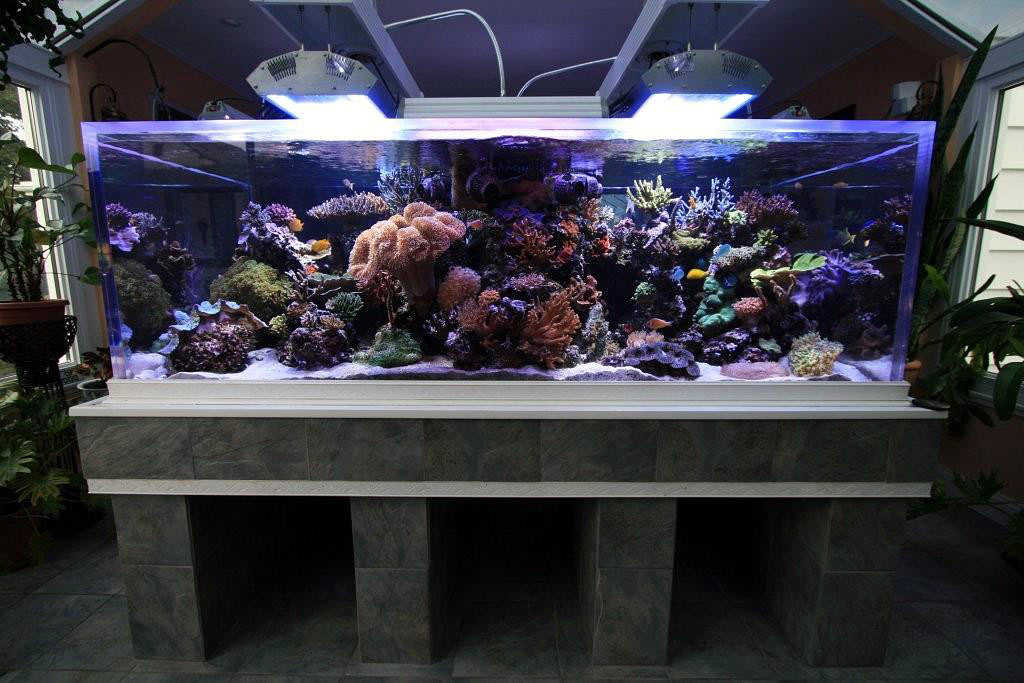 Aquariums