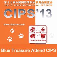 Attend CIPS'2013