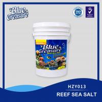 Reef Sea Salt 20kg/bag/bucket HZY013