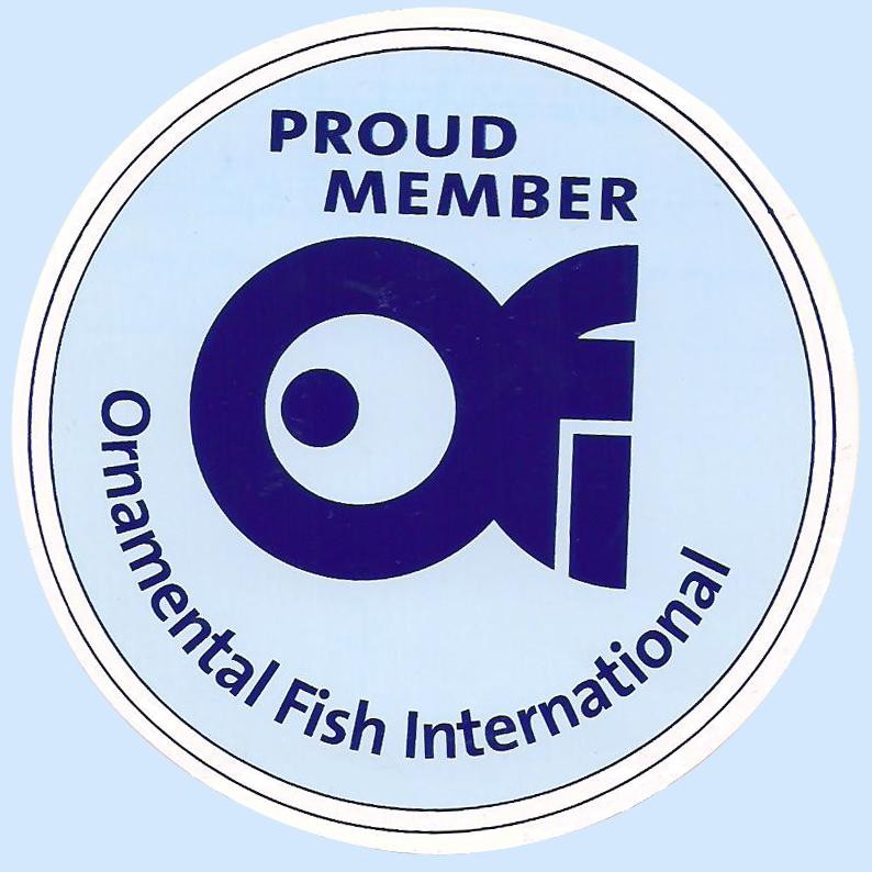 ornamental fish international